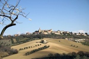 Montone (Mosciano Sant'Angelo)