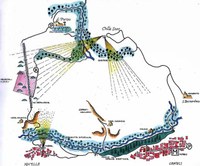 Punti di osservazione del territorio